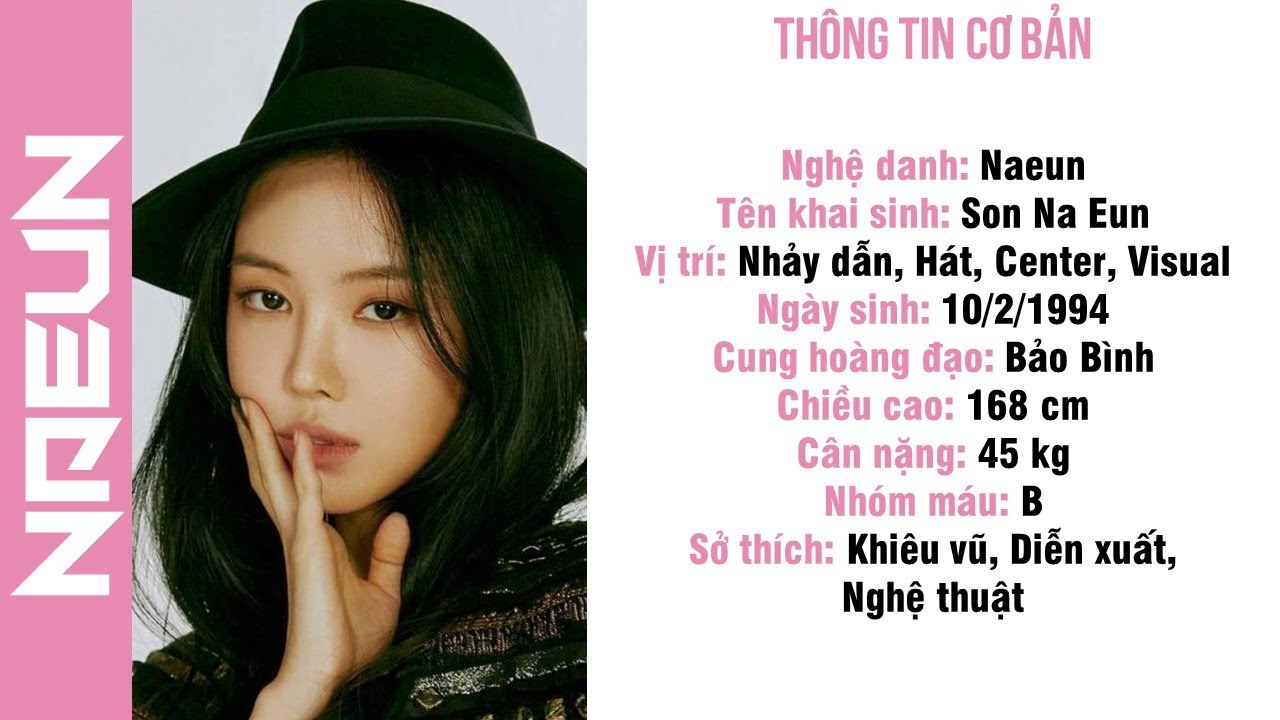 Tiểu Sử Các Thành Viên Apink - Mới Nhất