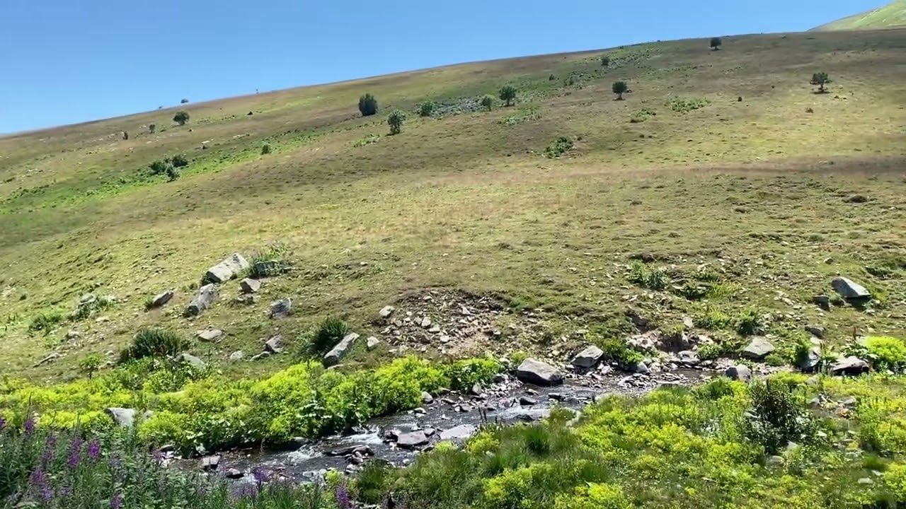 ARDAHAN POSOF Armutveren k&ouml;y&uuml; (papola) yaylası