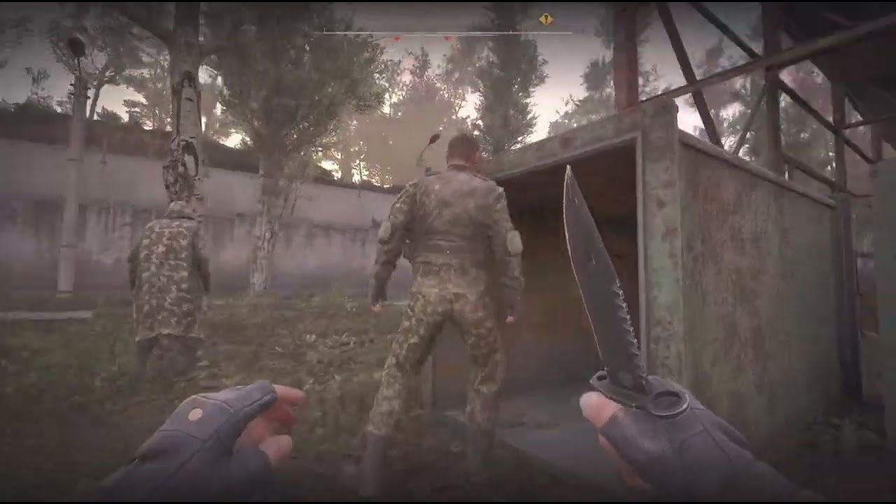 S.T.A.L.K.E.R. 2: Heart of Chornobyl Goodnight