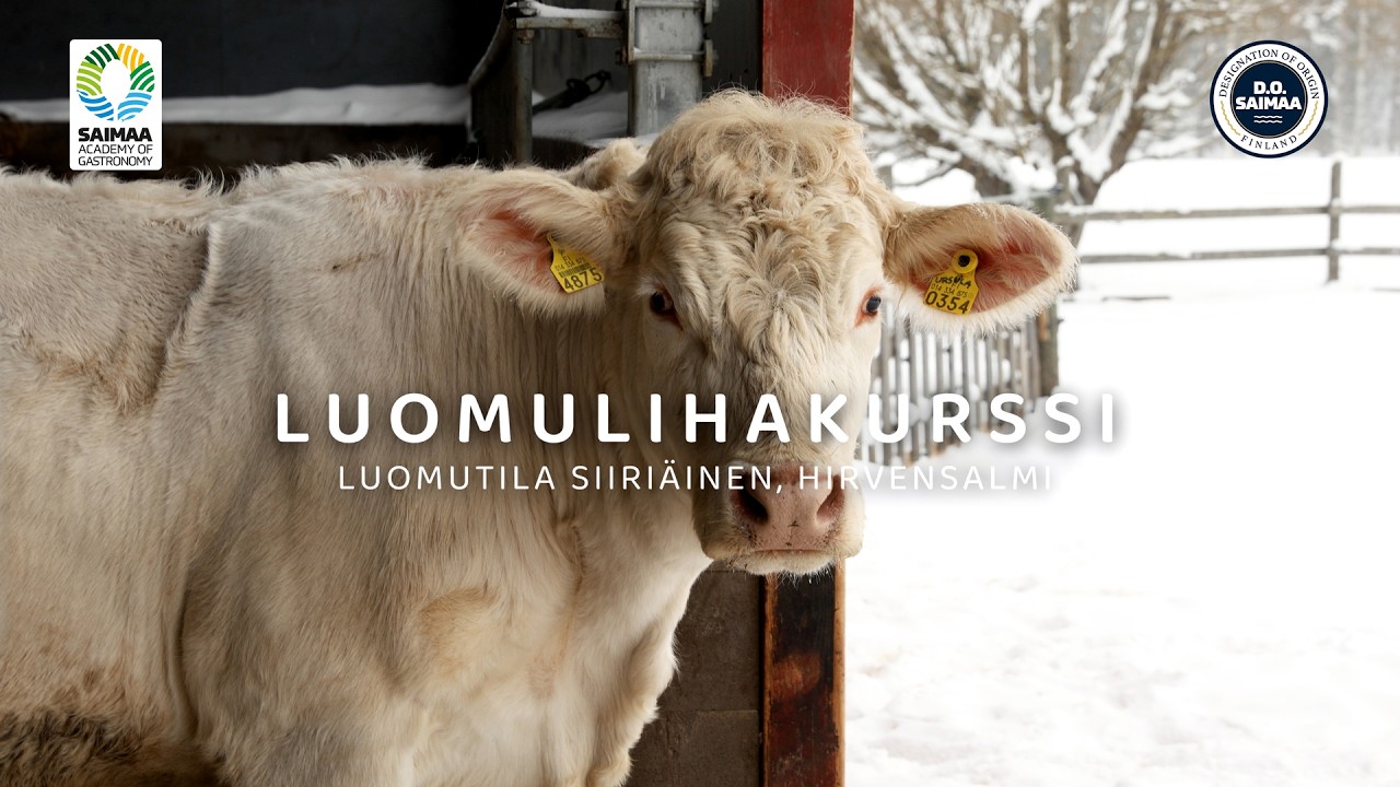 Saimaa Academy of Gastronomy, luomulihakurssin pilotti