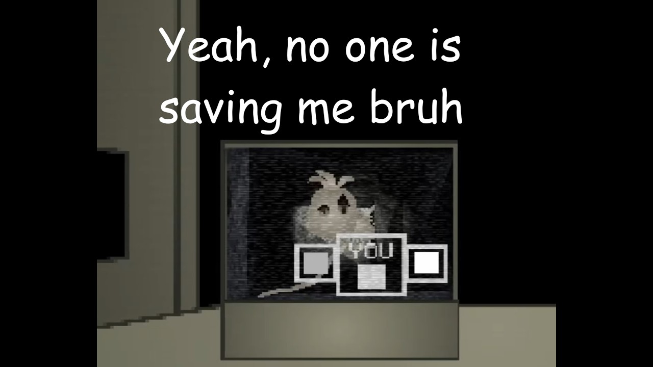 five nights