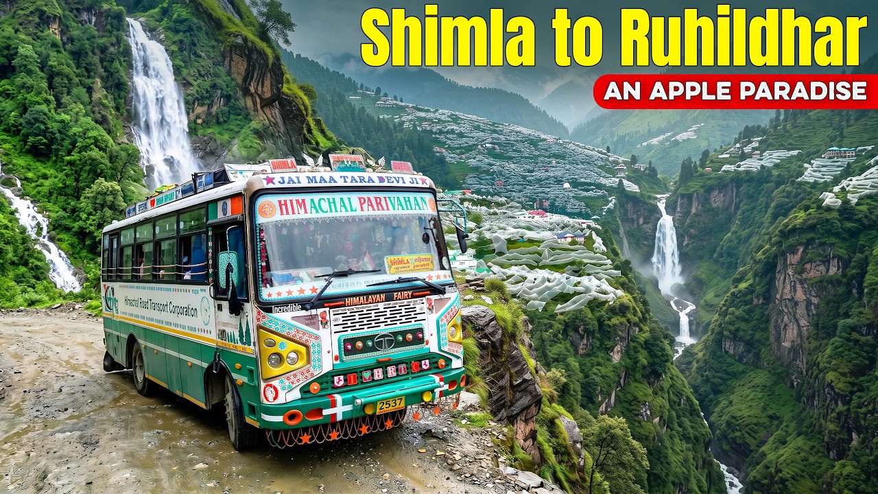 SHIMLA to RUHILDHAR by HRTC Bus | Hidden Apple Village of Himachal | Himbus