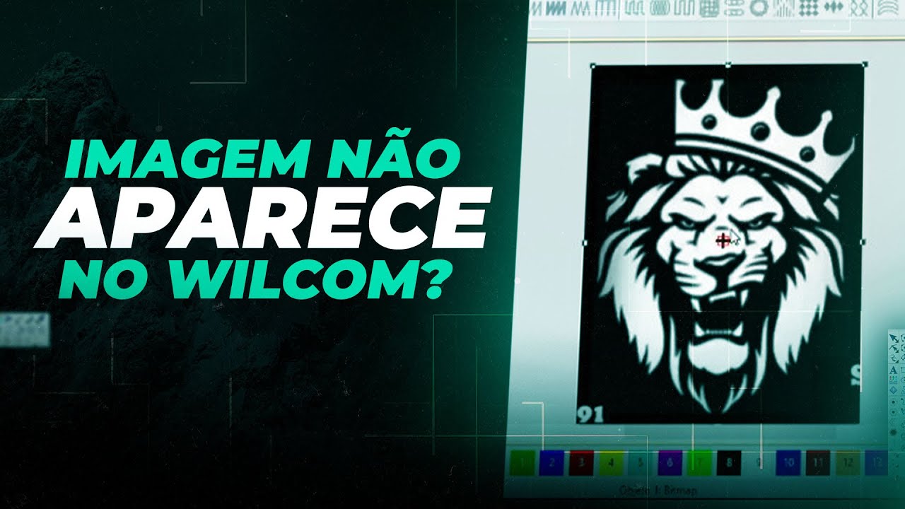 Imagem não aparece no Wilcom | Como resolver