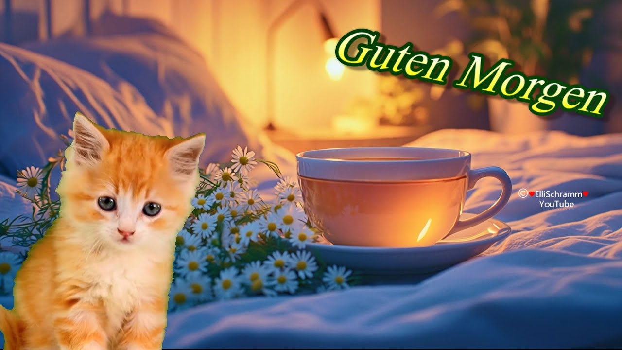 Guten Morgen ☕ Liebe Grüße für einen schönen Tag 💗