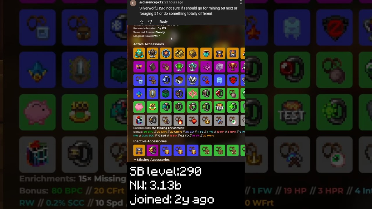 Твой профиль хорош? Или просто средний? #10 - Silverwolf_HSR #hypixelskyblock