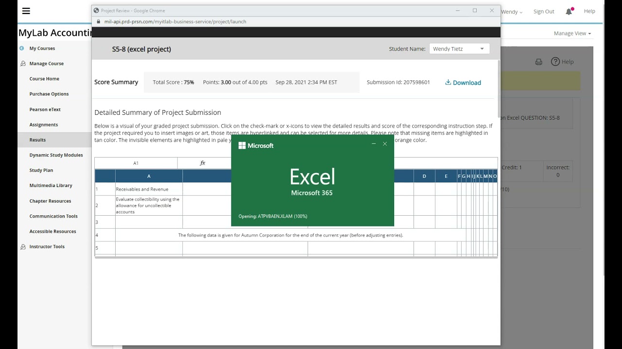 How to find and correct errors in MyLab Excel auto-grader items