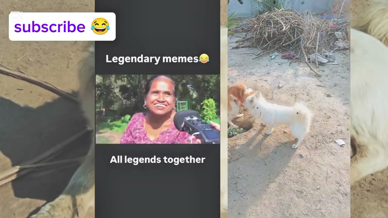 Top 10 Funny Memes in Hindi/Urdu || All Funny memes together #memesvideo 