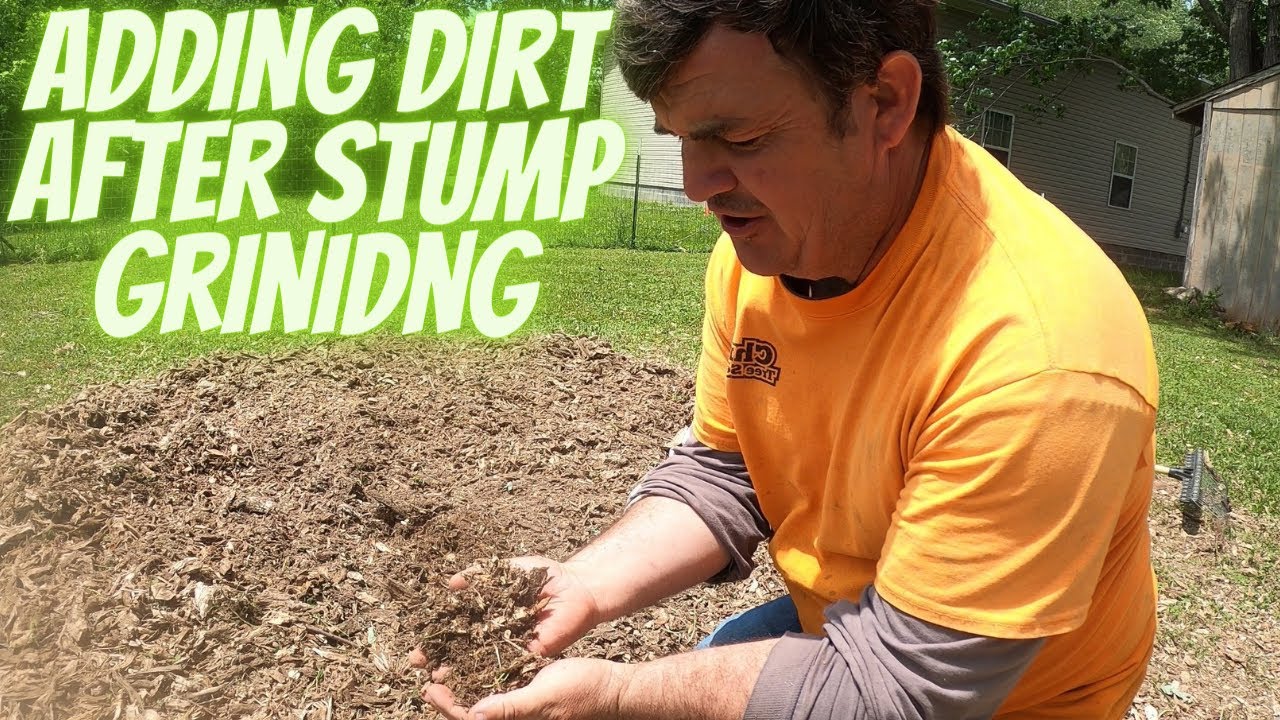 Stump Grinding - Clean Up Importance!