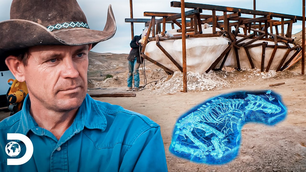 Logística para transportar fóssil de 9 toneladas | Caçadores de Dinossauros | Discovery Brasil