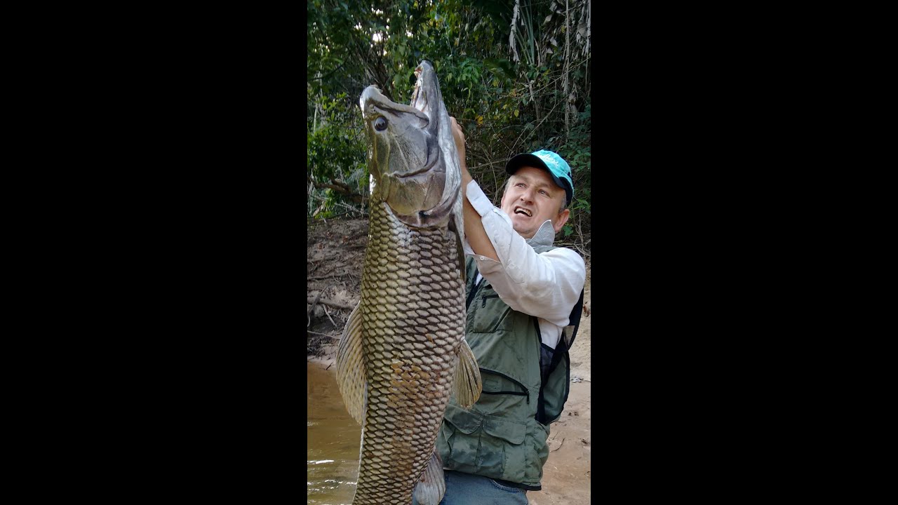 trairão 16kg na isca artificial de superfície no Mato Grosso