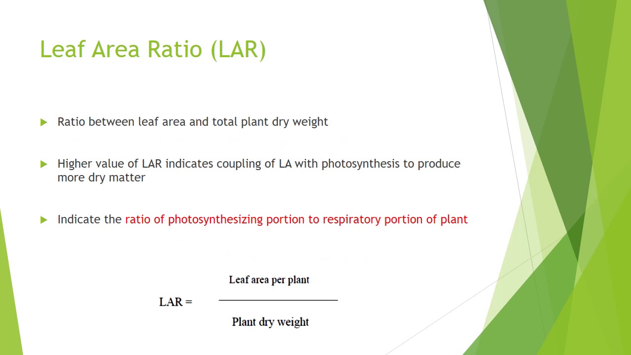 Plant growth analysis