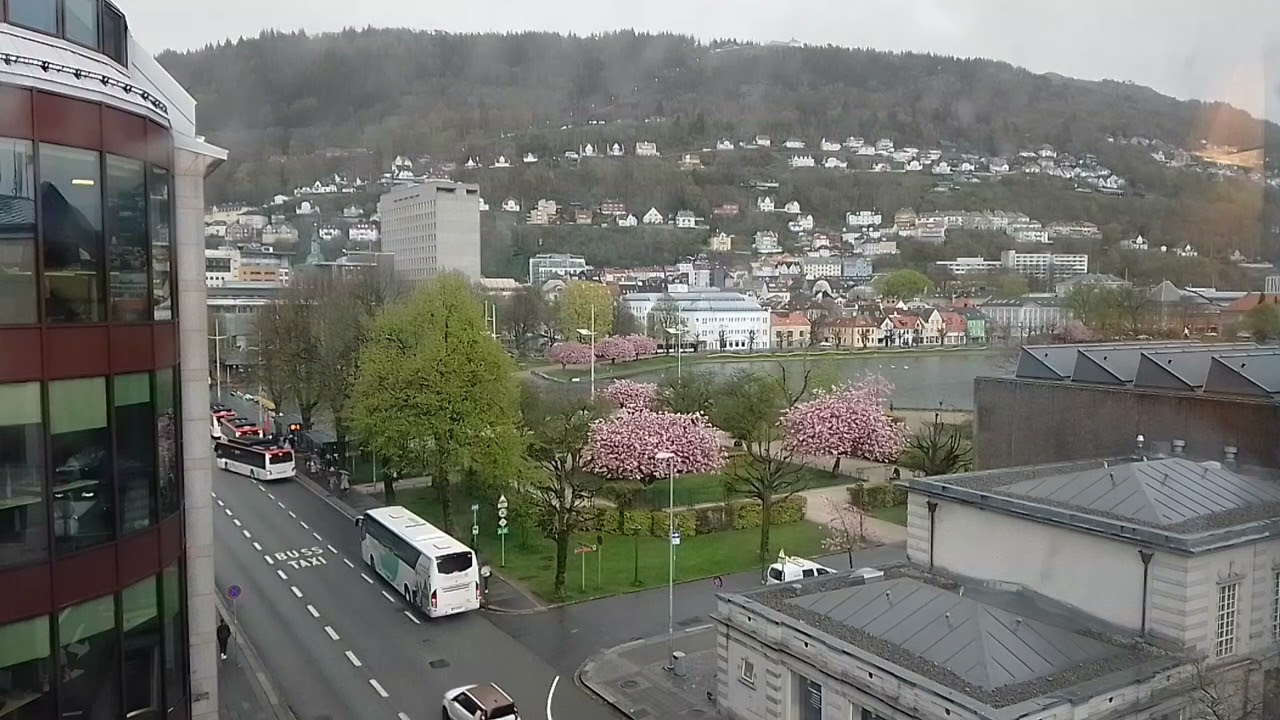 5floor Cherry Blossoms view
