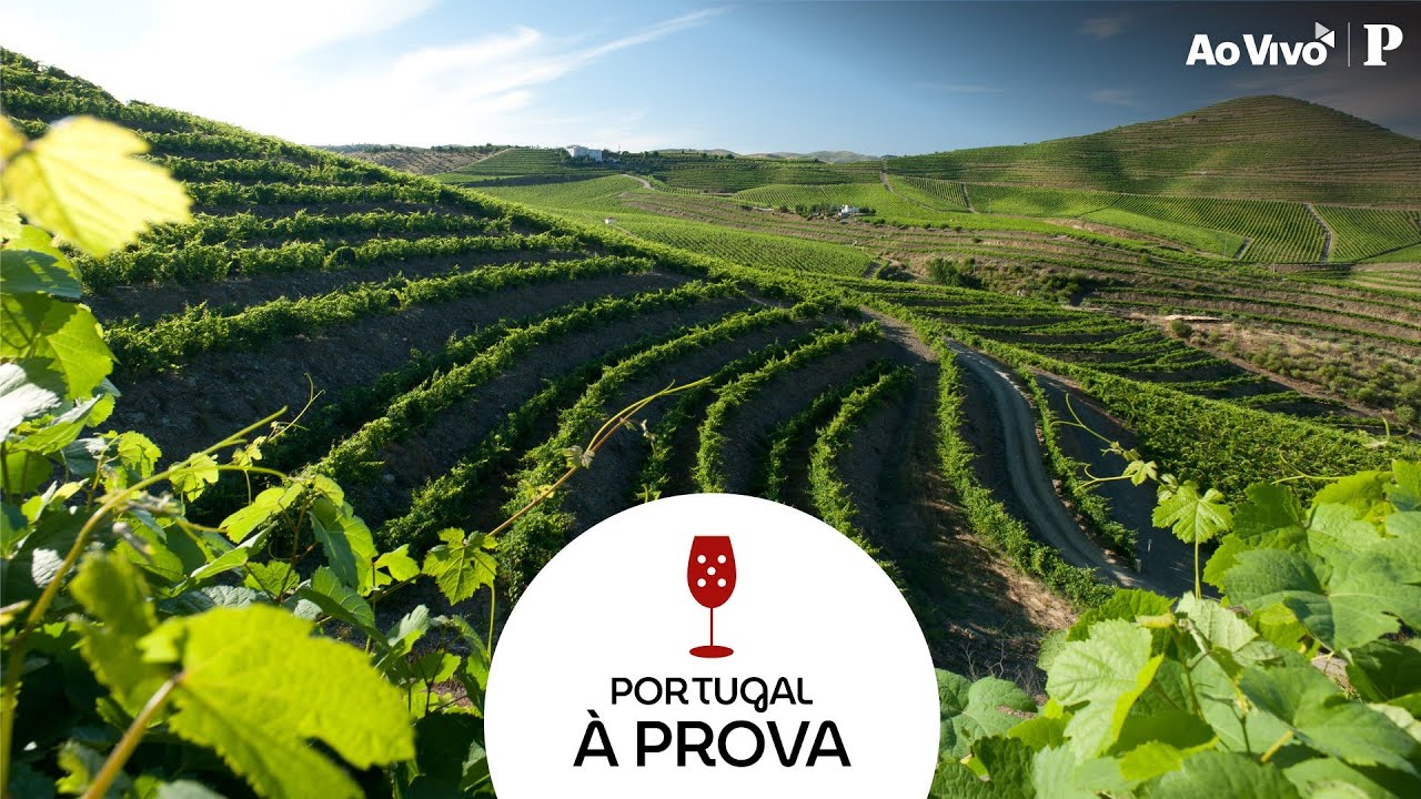 Sogrape, uma empresa, muitas regiões