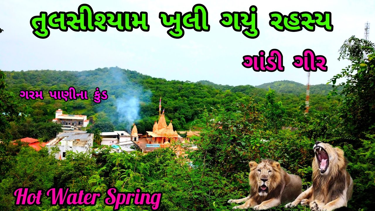 તુલસીશ્યામ ખુલી ગયું રહસ્ય llTulsishyam Temple Una, Gujarat #travel #vlog#india #Gir#Lion