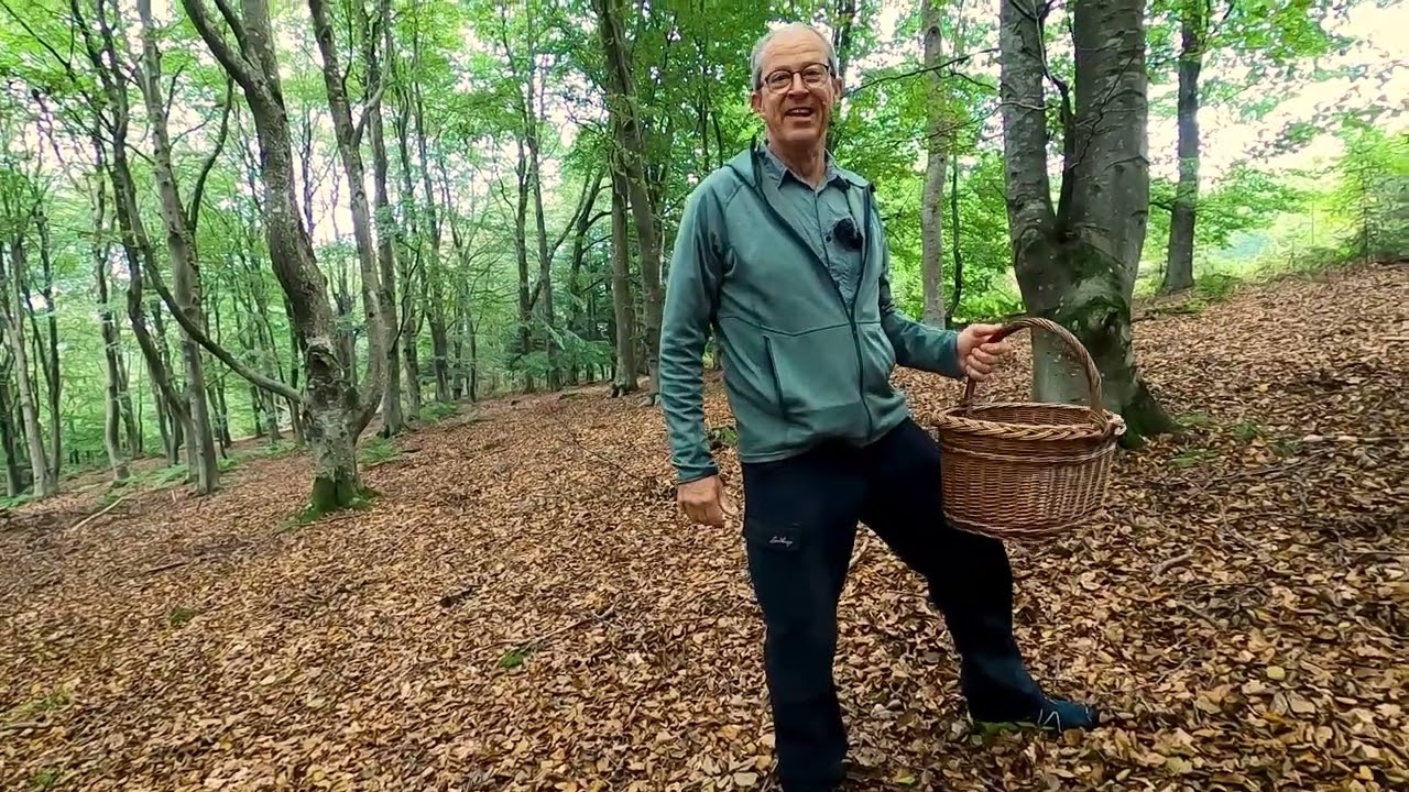 Naturen på landkortet Svampetur