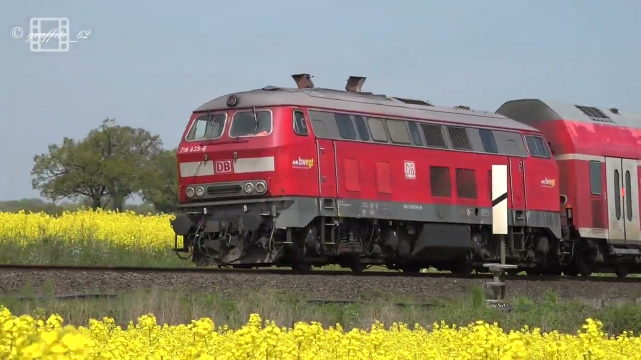 Vogelfluglinie - BR 218 Rapsblüte und Formsignale