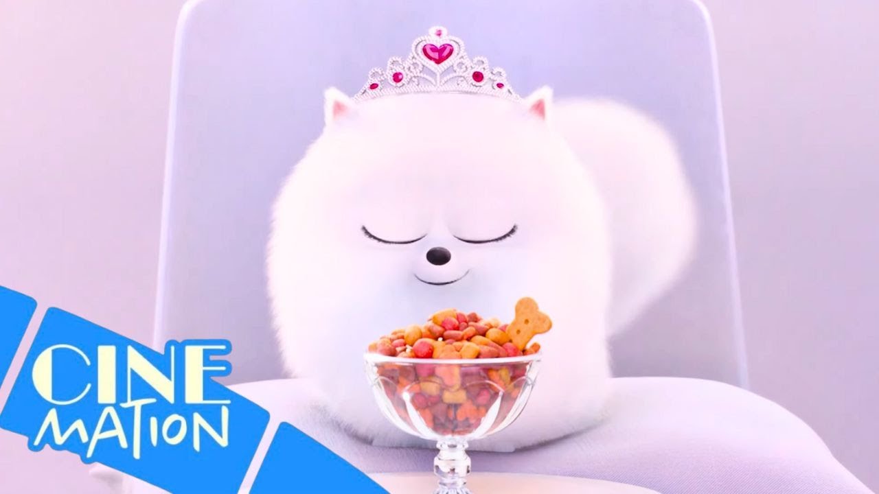 Final Scene | Max & Duke Come Home “Lovely Day” | The Secret Life of Pets (2016) | Cinemation