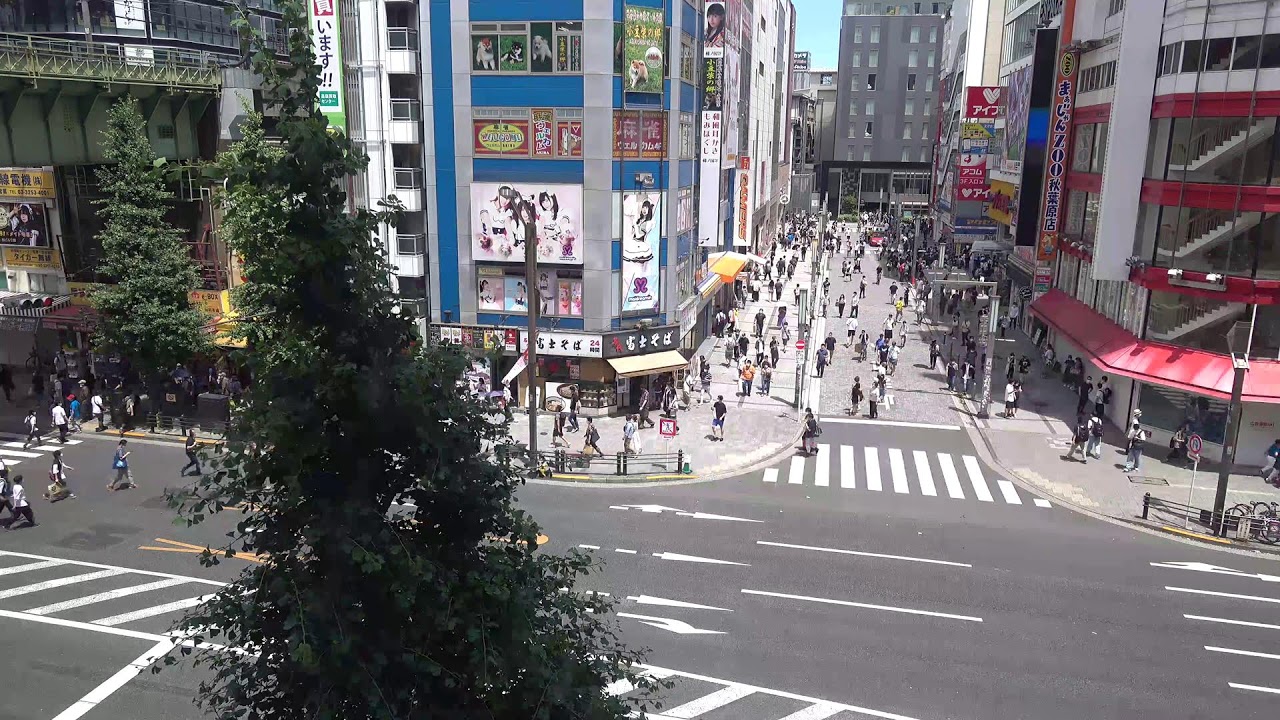 オノデンch【秋葉原ライブカメラ　Akihabara live camera】