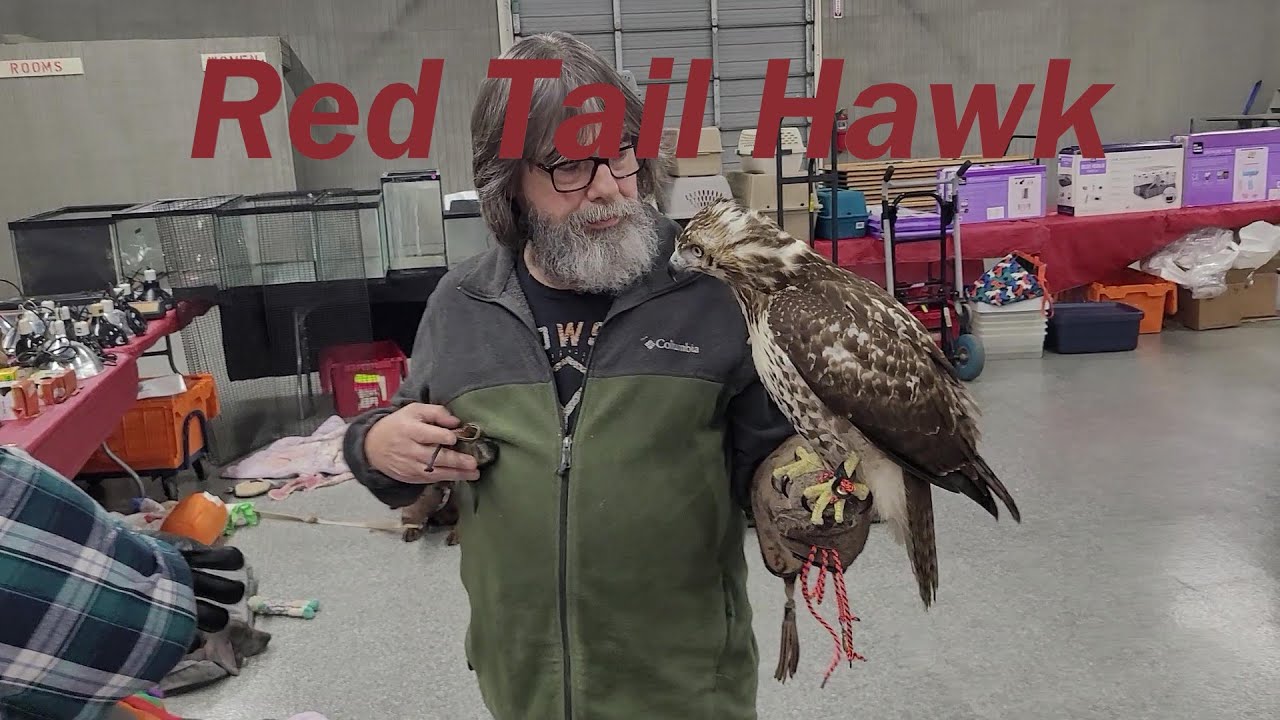 Scott Smith's All Animal Expo