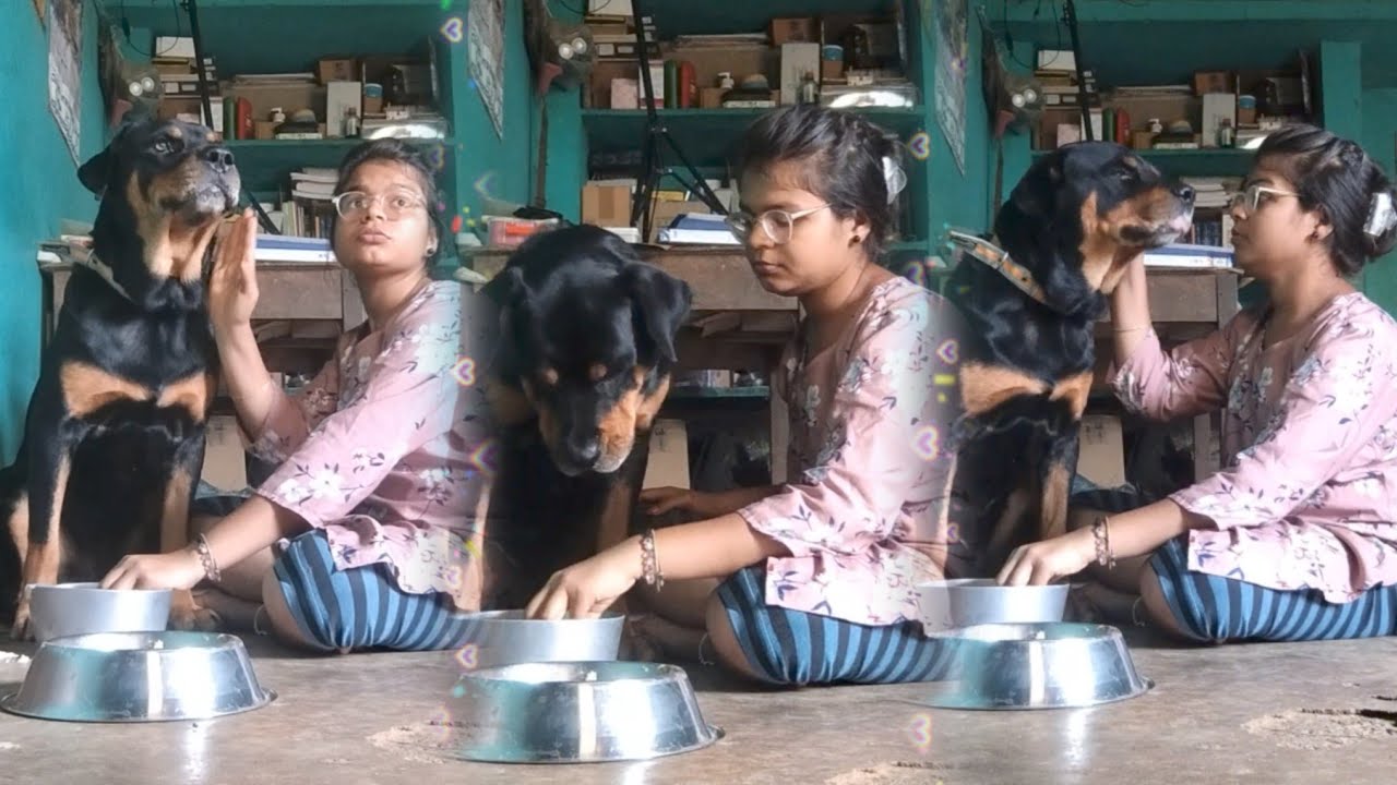 Rocky’s Struggle to Eat While ill 😢🐶 #Rottweiler #doggielife 