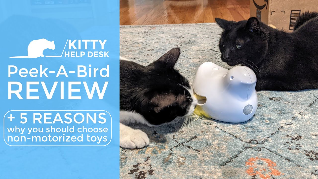 Peek-A-Bird Review + 5 Reasons Why You Should Choose Non-Motorized Cat Toys