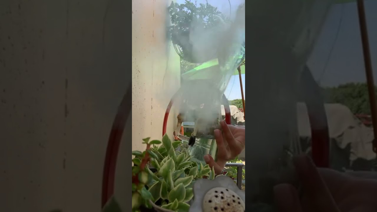 Upcycle Glass | Saturday should be spent with the best kush and bong! 🔥⚗️💦🌿💨