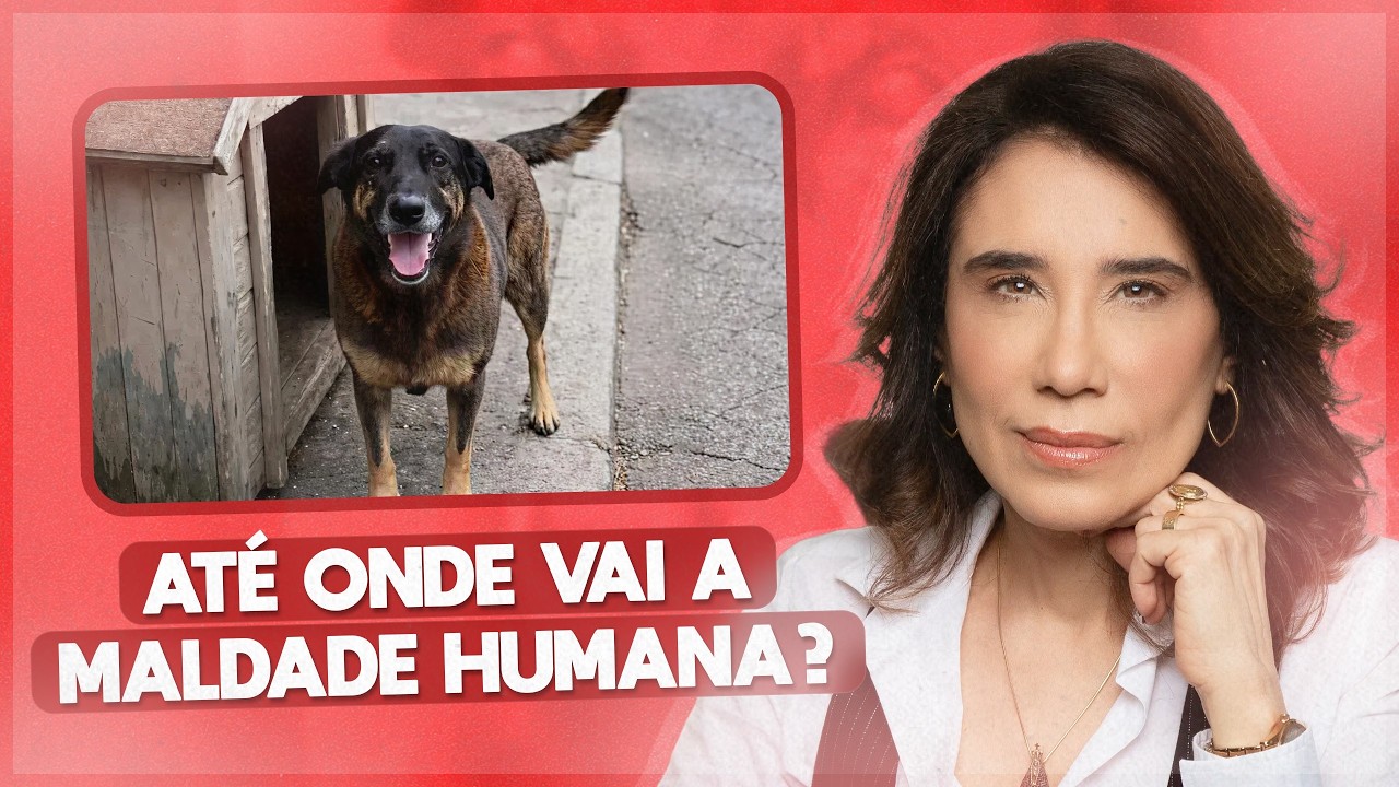 Crueldade Animal: A Morte Trágica de Orelha e a Luta por Justiça | ANA BEATRIZ