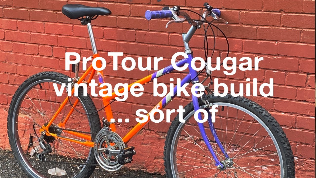 ProTour Vintage Mountain Bike Build AND MORE! AND LESS!