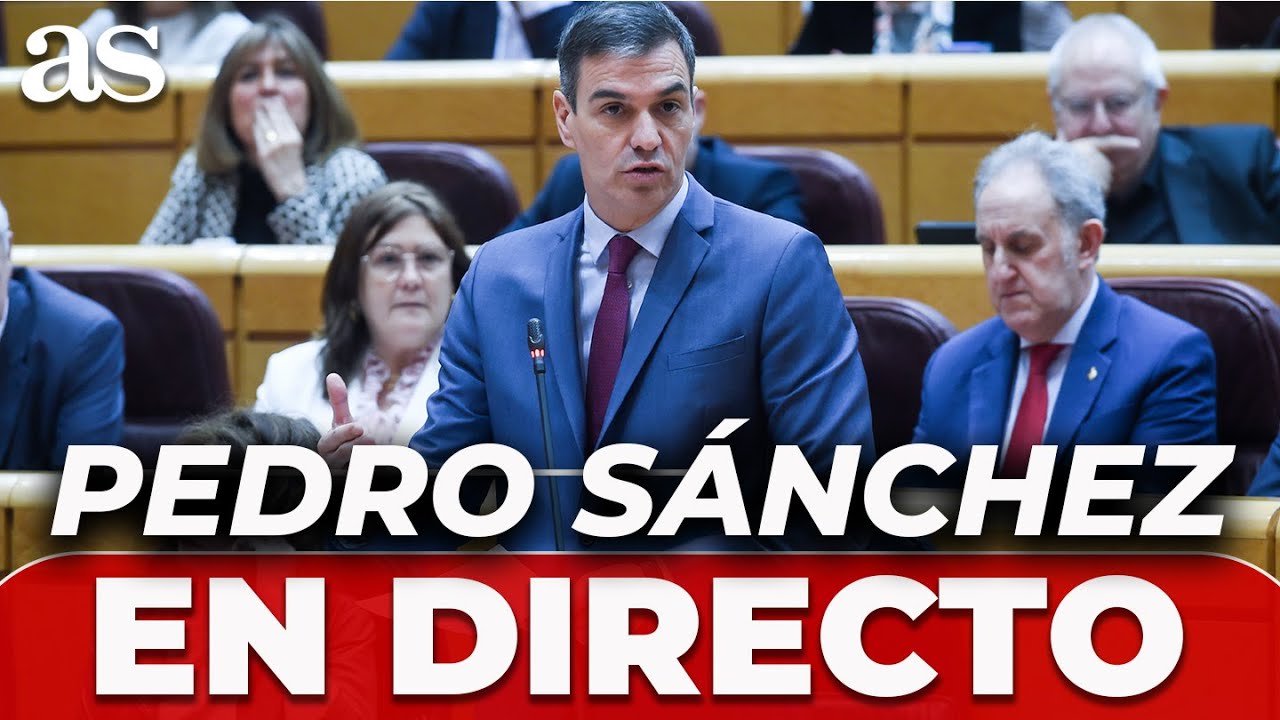 PEDRO S&Aacute;NCHEZ, EN VIVO: el PRESIDENTE del GOBIERNO comparece en el SENADO por el CASO KOLDO