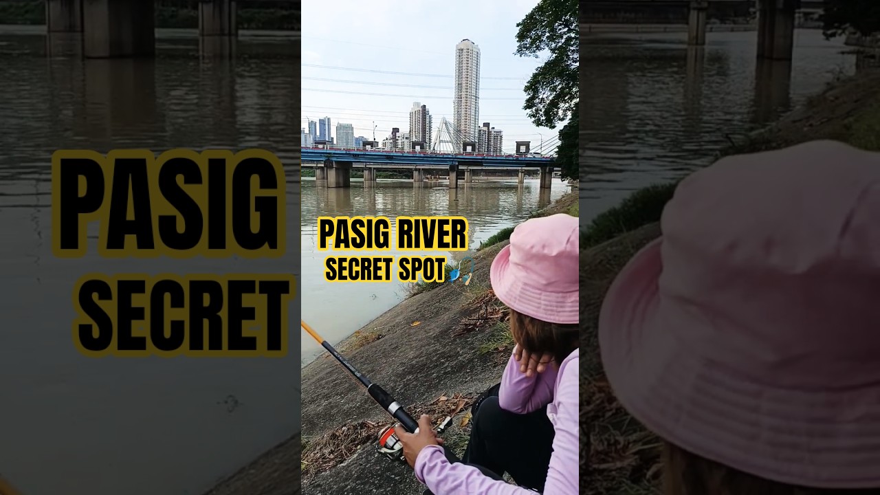 Urban Fishing Adventure🎣 #shorts #fishing #shortvideo #shortsfeed #fyp #pasigriverfishing