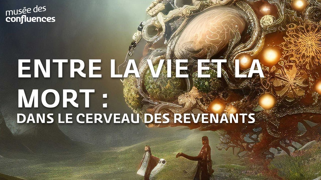 Entre la vie et la mort : dans le cerveau des revenants