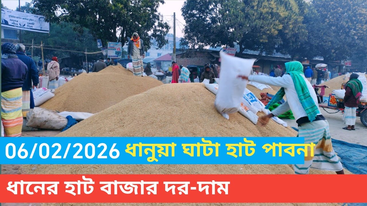 6 February 2026 আজকের ধানের বাজার দর। Paddy rice market price rate in pabna Bangladesh 