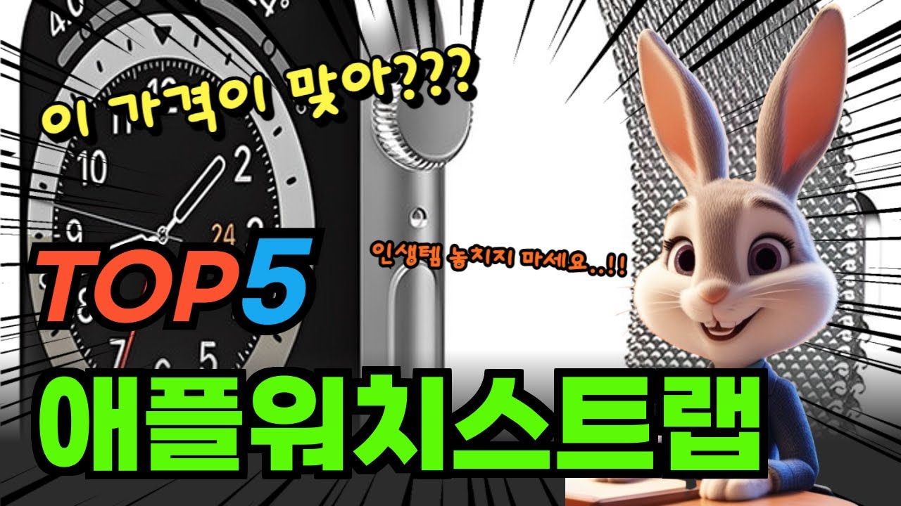 대박 가성비 애플워치스트랩 추천 TOP5
