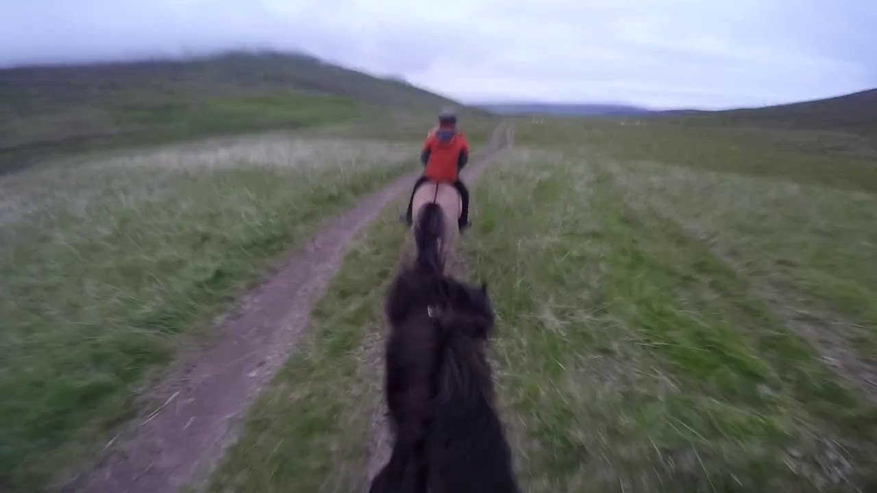 Riding Icelandic Horses - Iceland - GoPro Hero 4 on helmet