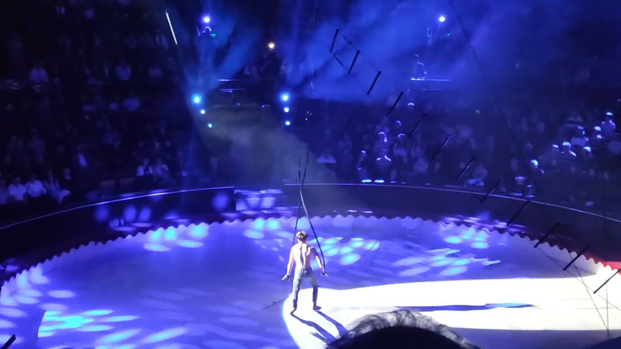 Budapest Circus Festival - sztrabaty