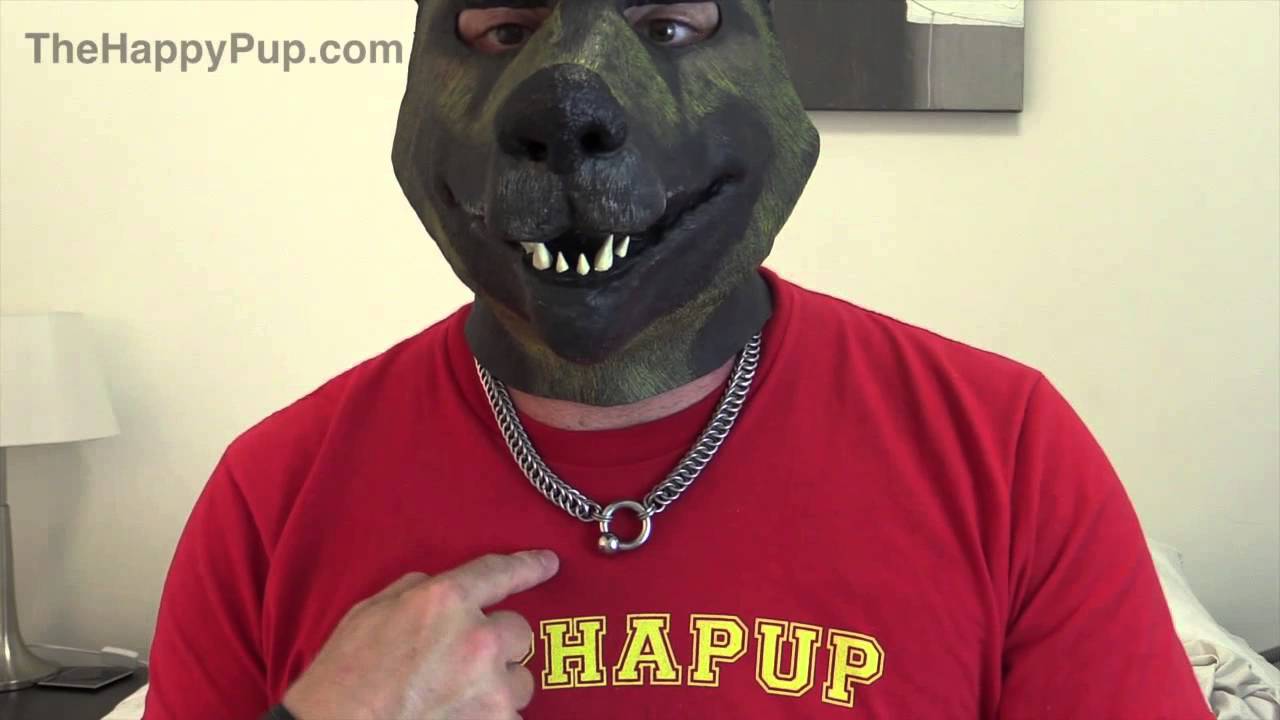My Discreet Chain Mail Collar For Pups ( &  Chainmail Slaves!) |The Happy Pup