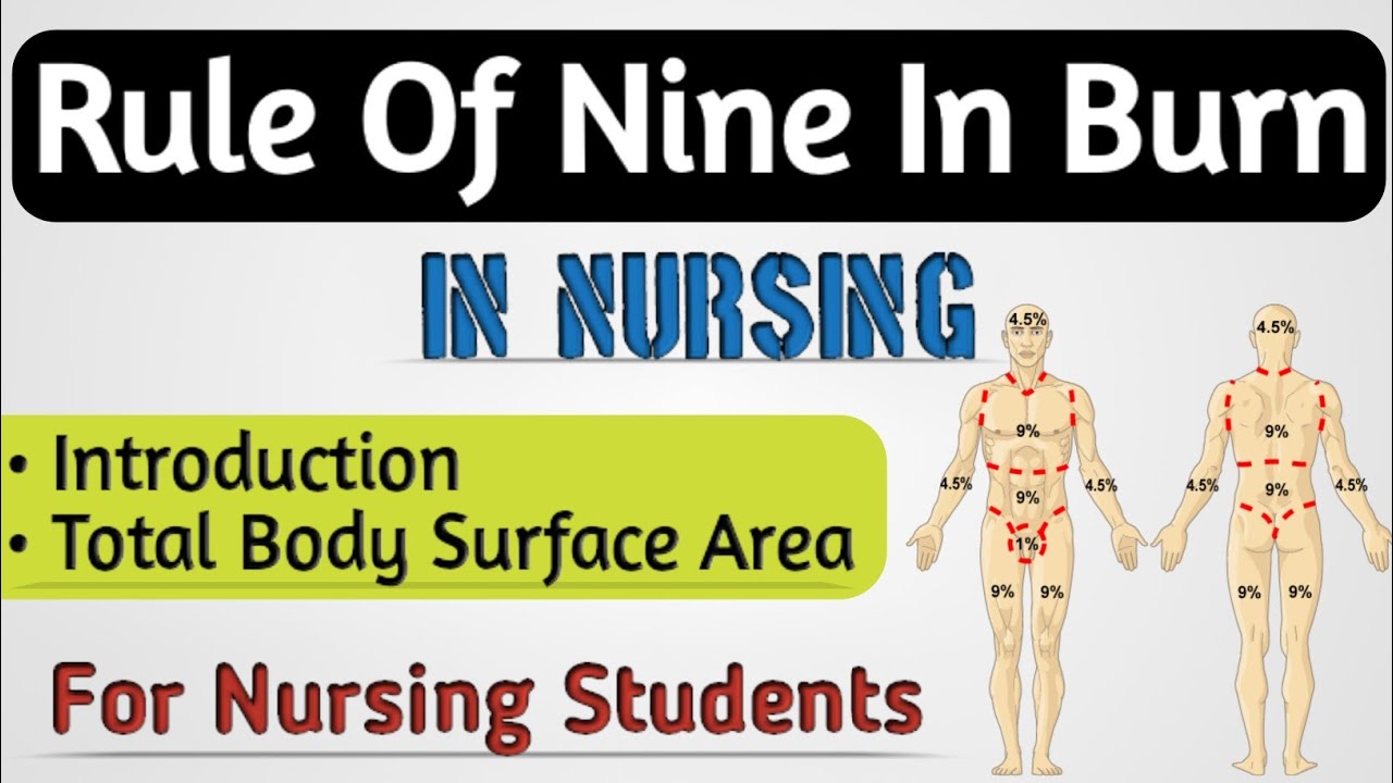 Rule Of Nine In Burn // Role Of Nine In Burn