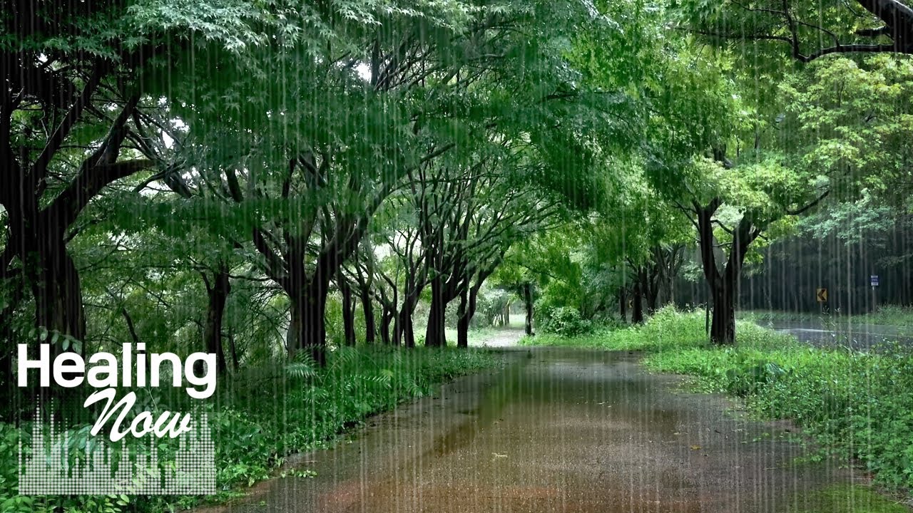 Исцеление прохладным дождем, звучащим жарким летом - Шум Вахите для глубокого сна и релаксации