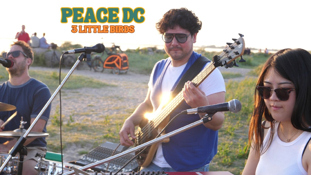 Peace Development Crew - Three Little Birds - Bob Marley Cover - Strandbar Strukkamp