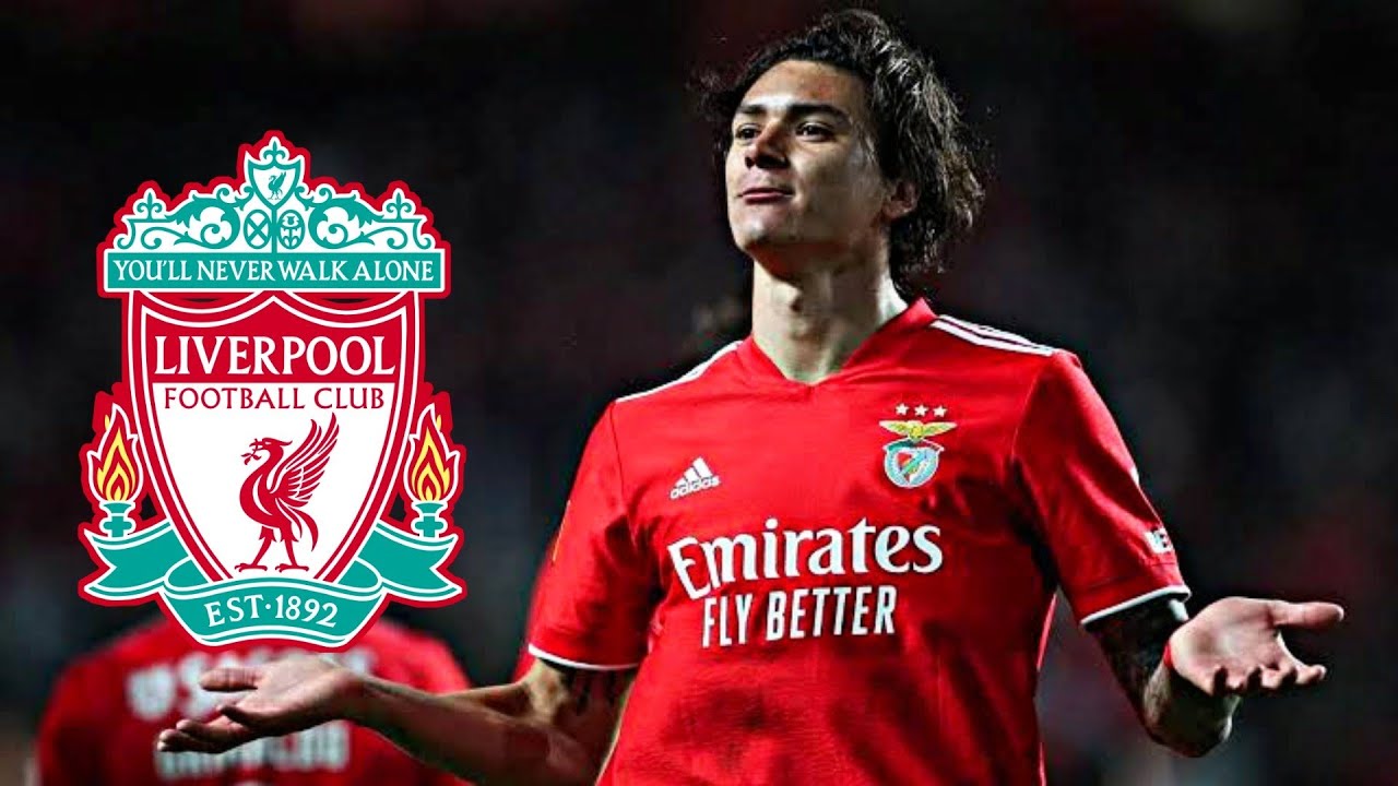 داروين نونيز لاعب ليفربول الجديد - مهارات واهداف 2022