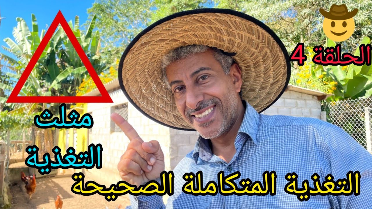 تربية الدجاج 🐓 كيف تصبح محترف في تربية الدجاج (( التغذية )) الحلقة ٤