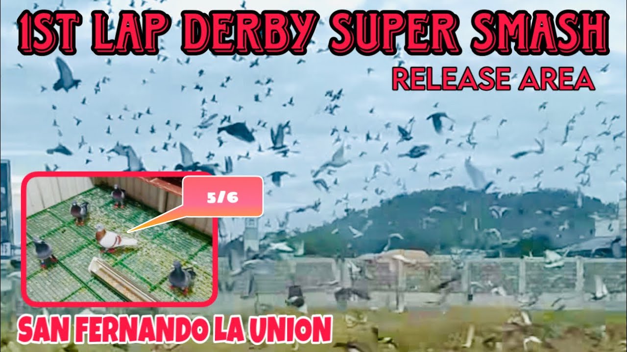 EP251 -P2 1ST LAP DERBY RACE NORTH SAN FERNANDO LA UNION, NAG KA UBUSAN AGAD NG KALAPATI