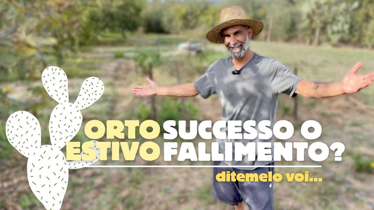#23 | Come È Andato L'Orto Estivo - Successo o Fallimento?