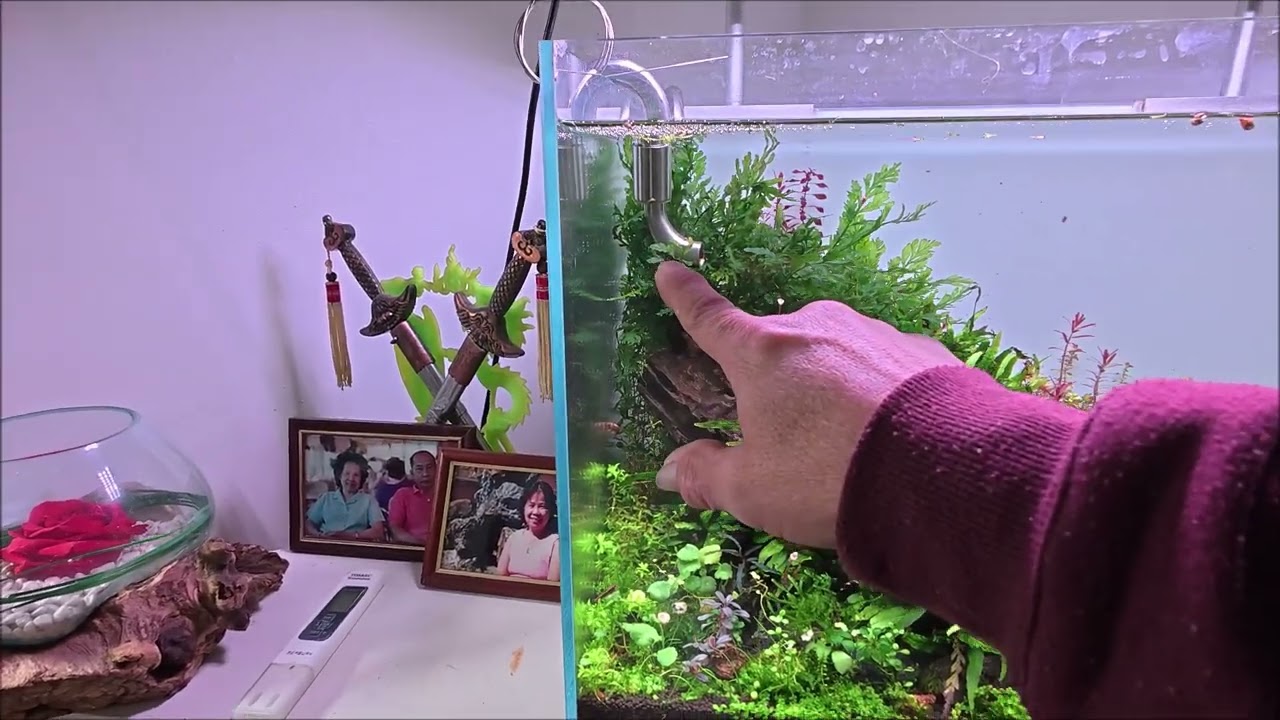 Comment placer les cannes du filtre aquarium