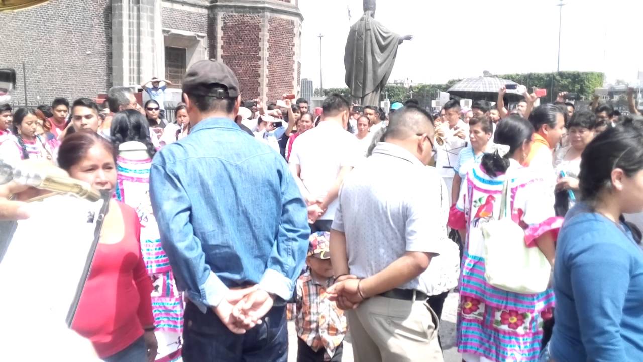 flor de naranjo con banda de viento
