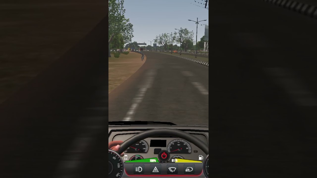 beautiful road truck driver