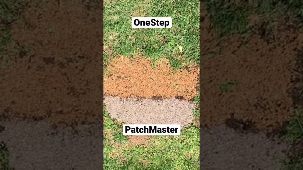 Grass Patch Repair: Pennington vs. Scotts!