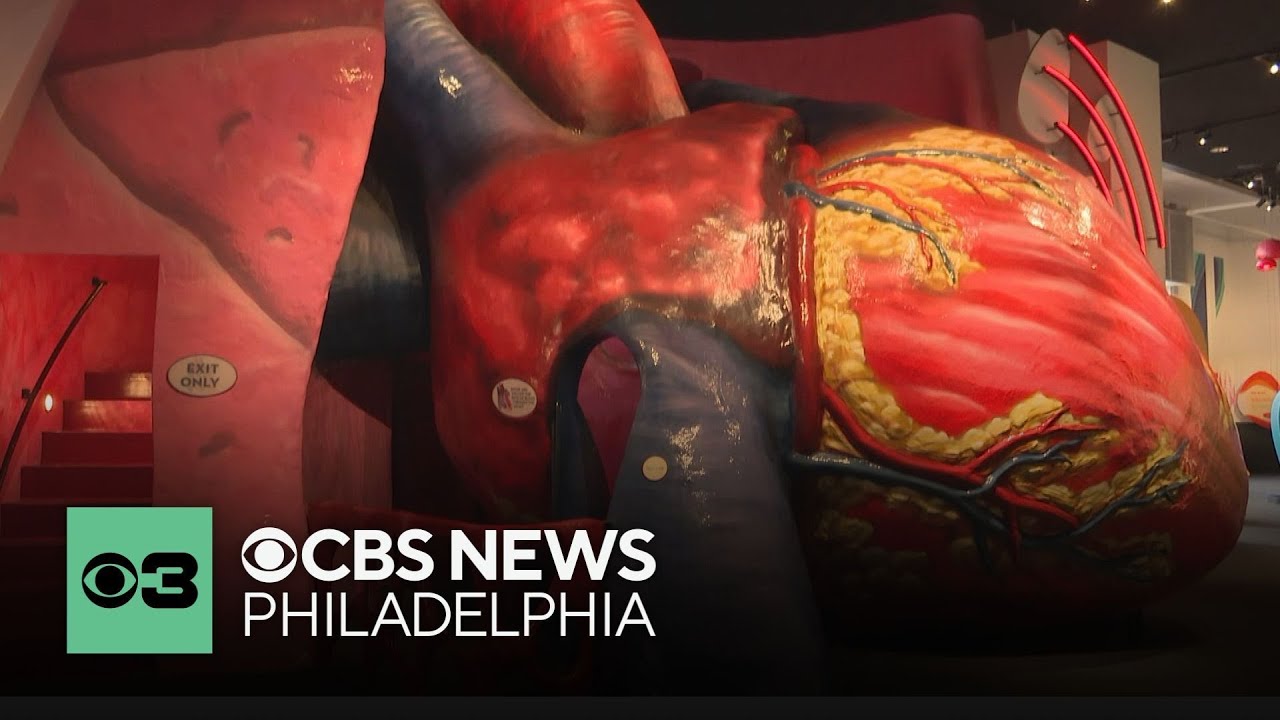The heart of Philadelphia: Franklin Institute's Giant Heart reopens