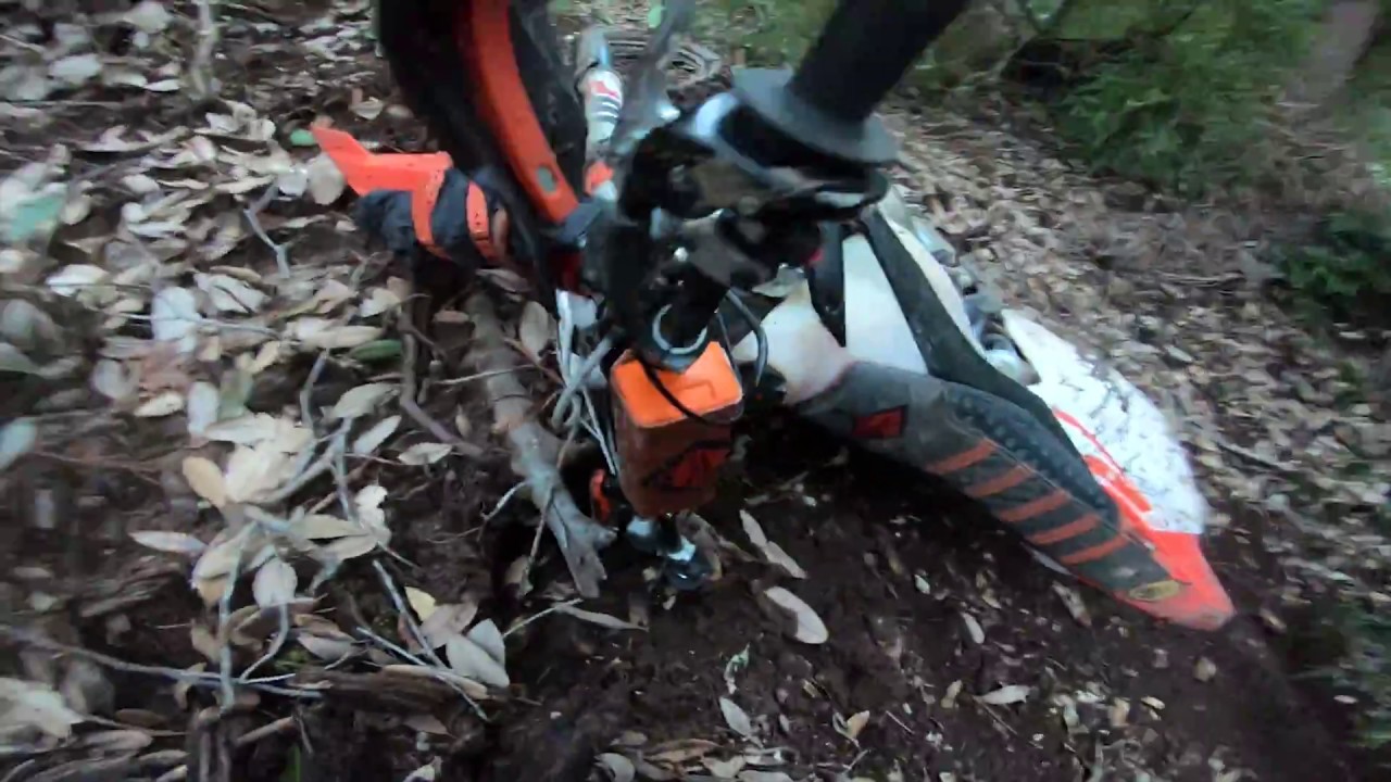 Harescramble training in the woods