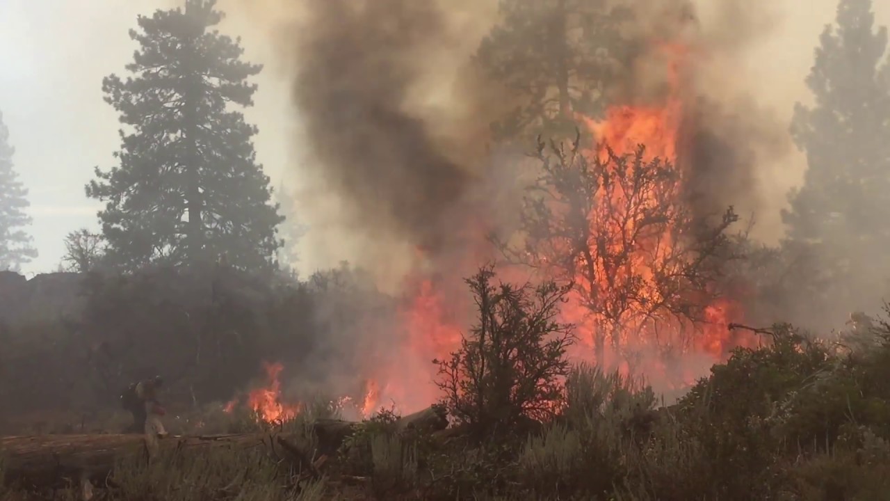2015 Feather River Hotshots